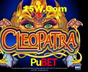Design Responsivo Pubet